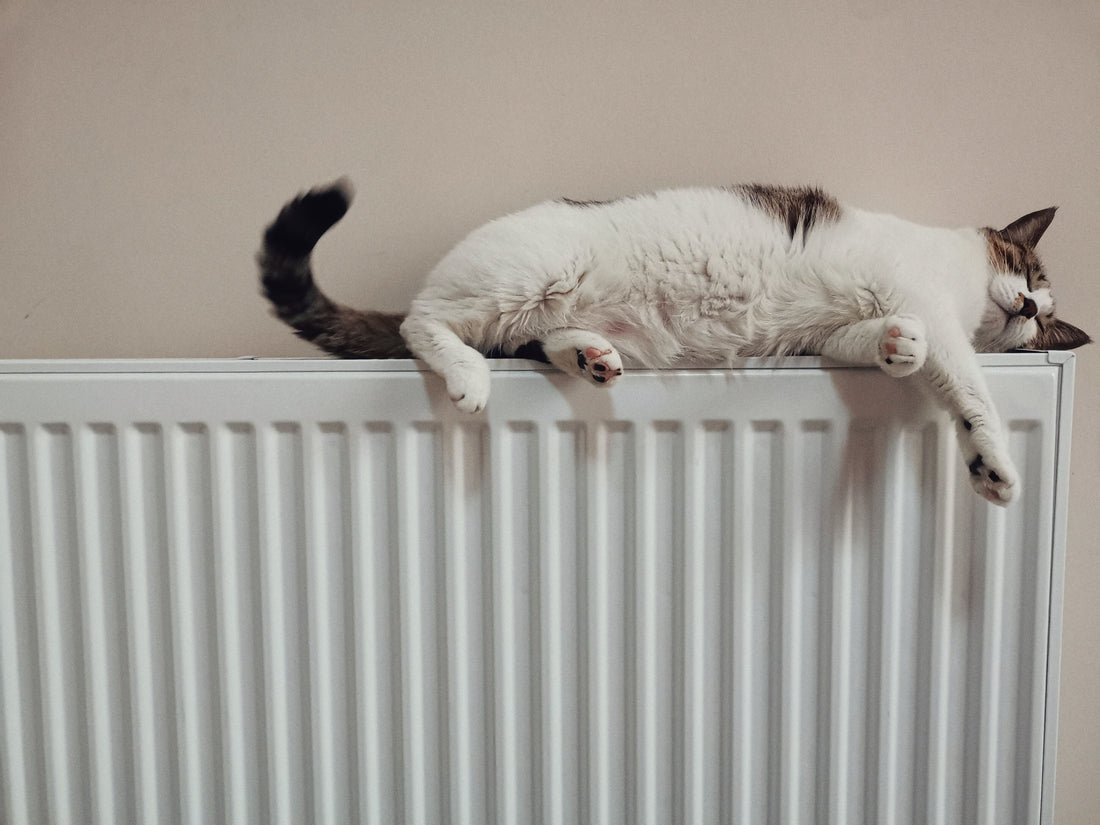 WAS IST DIE IDEALE SCHLAFTEMPERATUR DAGSMEJAN
