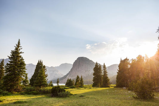 Green Friday: Schlaf gut, mach einen Unterschied