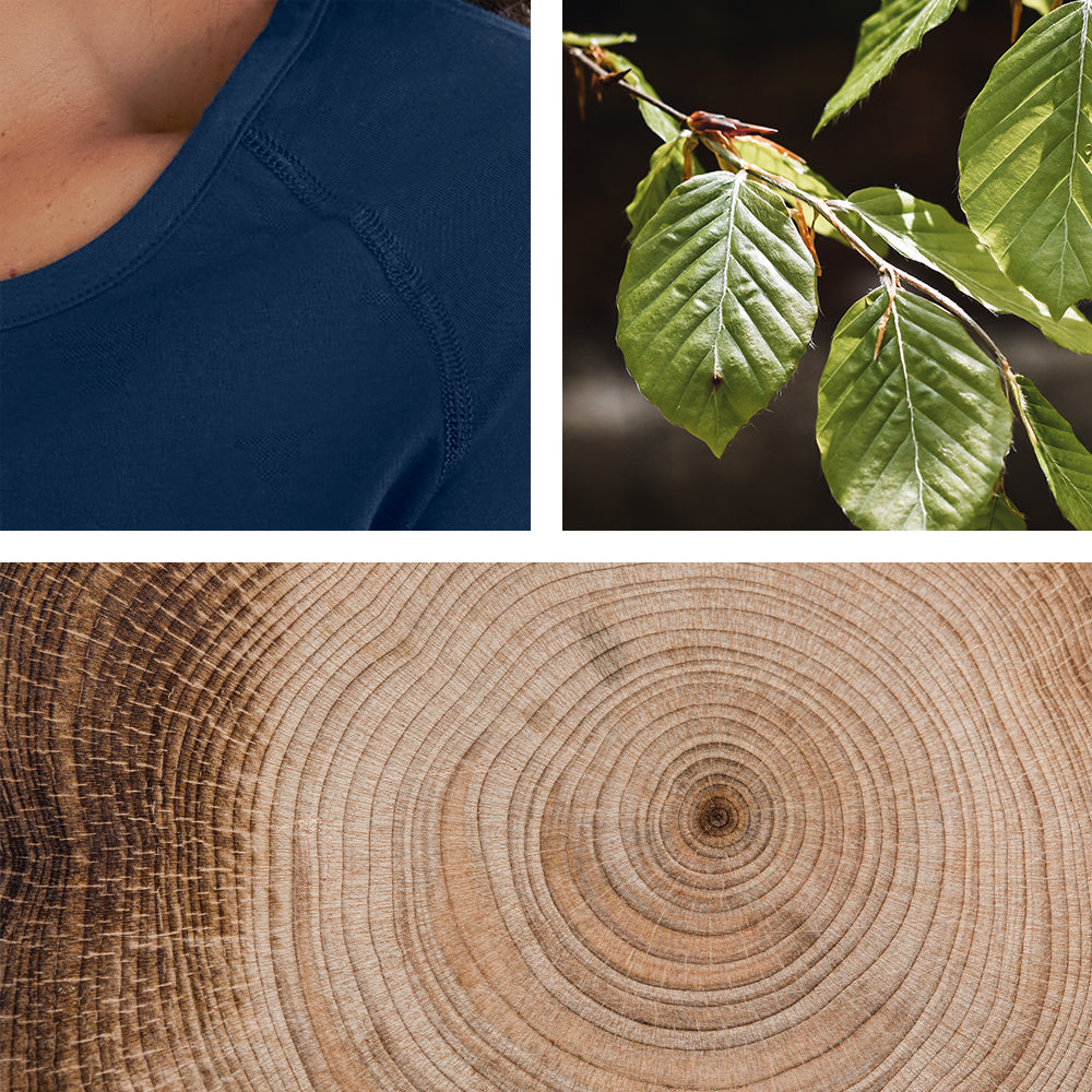 Buchenholz Natürlich und Nachhaltig