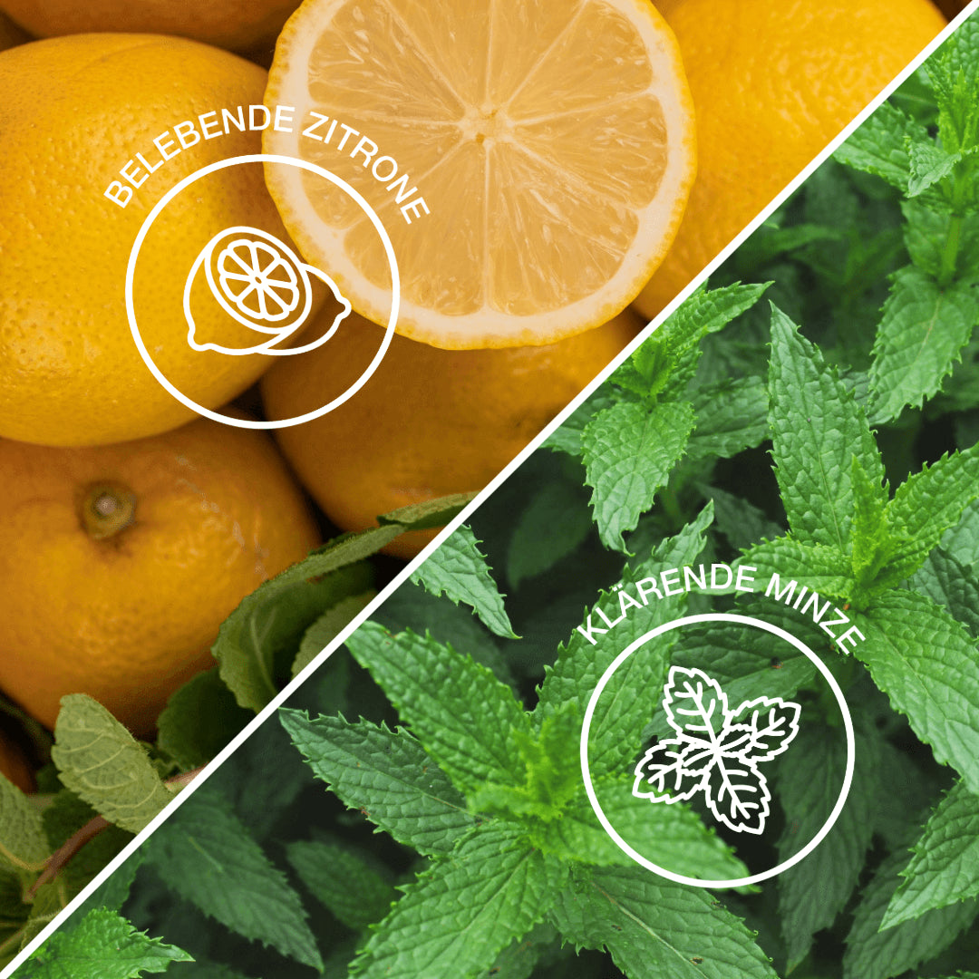 || Zitrone & Minze
